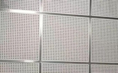 酒店報(bào)告廳木制穿孔吸音板